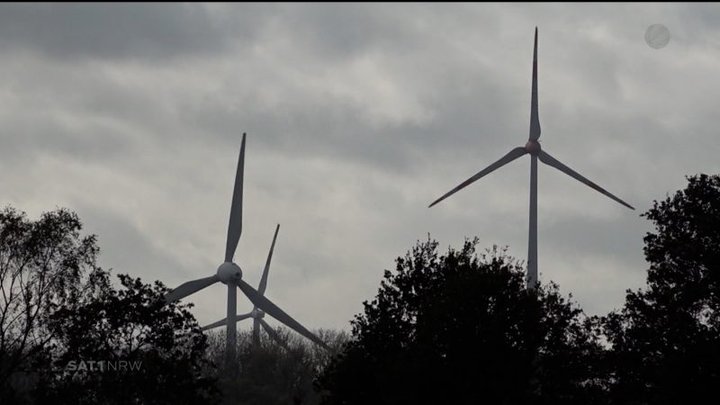 NRW bei Windradausbau vorne (Foto: SAT.1 NRW)