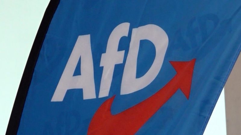 Europawahlerfolg für die AfD in Gelsenkirchen (Foto: SAT.1 NRW)