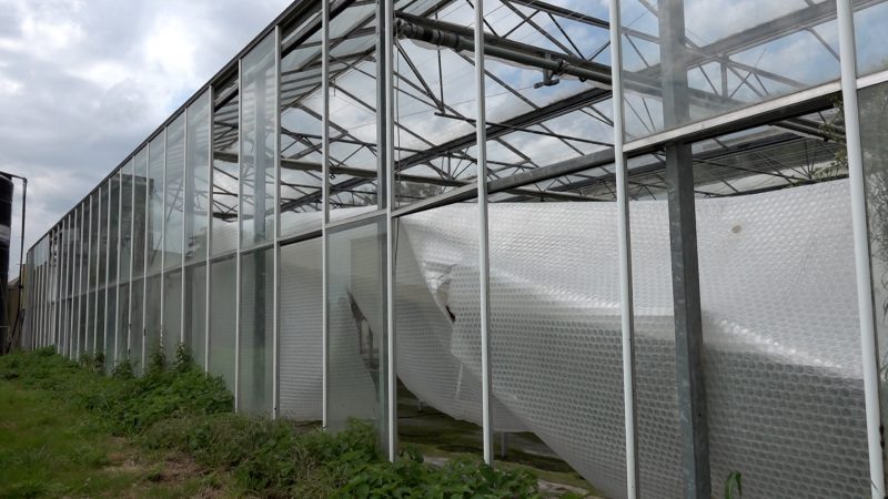 Landwirt vertreibt Vandalen (Foto: SAT.1 NRW)