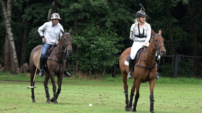 Prominente probieren Polo (Foto: SAT.1 NRW)