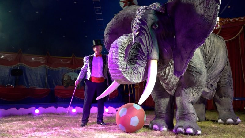 Robo-Elefant im Zirkus (Foto: SAT.1 NRW)