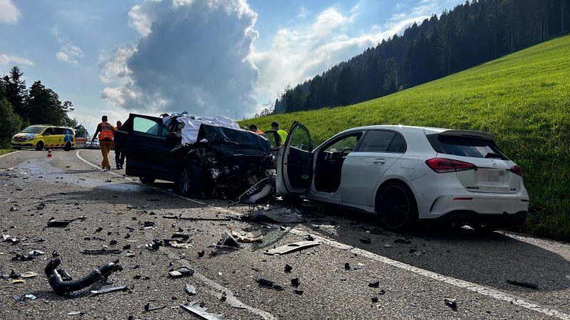 Mehrere Nordrhein-Westfalen bei Unfall in Schweiz gestorben (Foto: SAT.1 NRW)