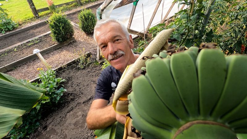 Mann baut exotische Früchte im Garten an (Foto: SAT.1 NRW)