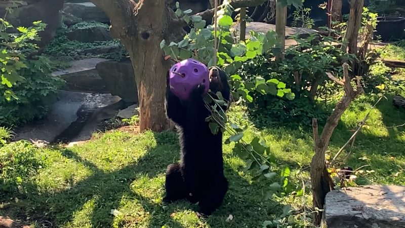 Bäriger Badespaß (Foto: SAT.1 NRW)