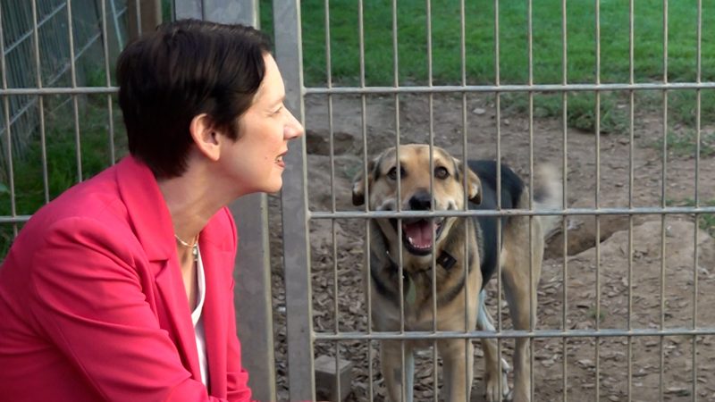 NRW-Ministerin Gorißen besucht Tierheim (Foto: SAT.1 NRW)