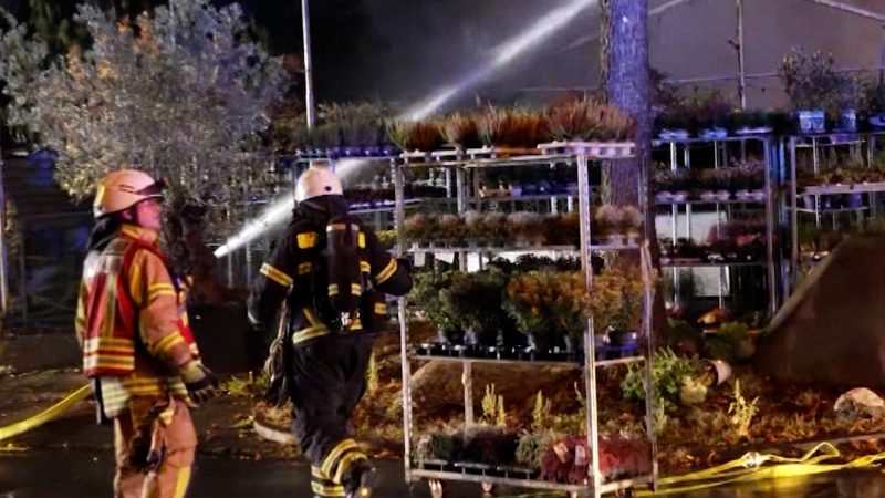 Großbrand in Gärtnerei  (Foto: SAT.1 NRW)