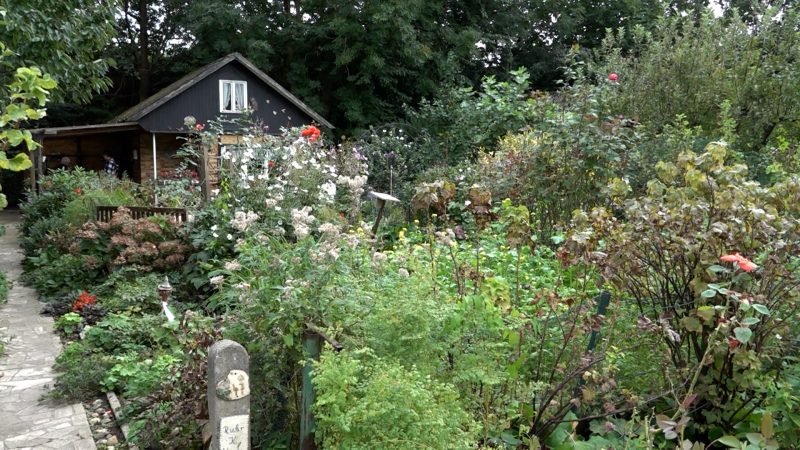 Kleingärtnerin Ingeborg Krause muss ihren Garten räumen: Ein Leben für die Parzelle (Foto: SAT.1 NRW)