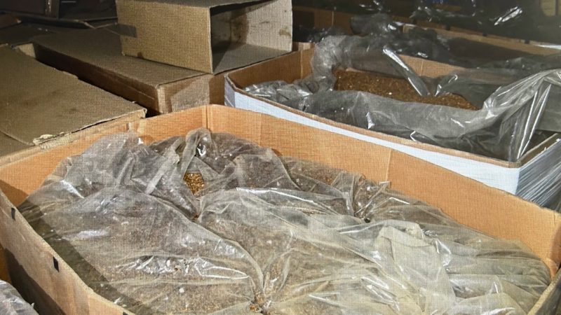 Illegale Zigarettenfabrik in Werther entdeckt (Foto: SAT.1 NRW)