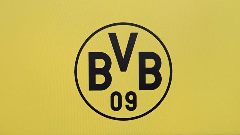 Trotz Absage des Trainings - BVB Fans kommen für Autogramme (Foto: SAT.1 NRW)