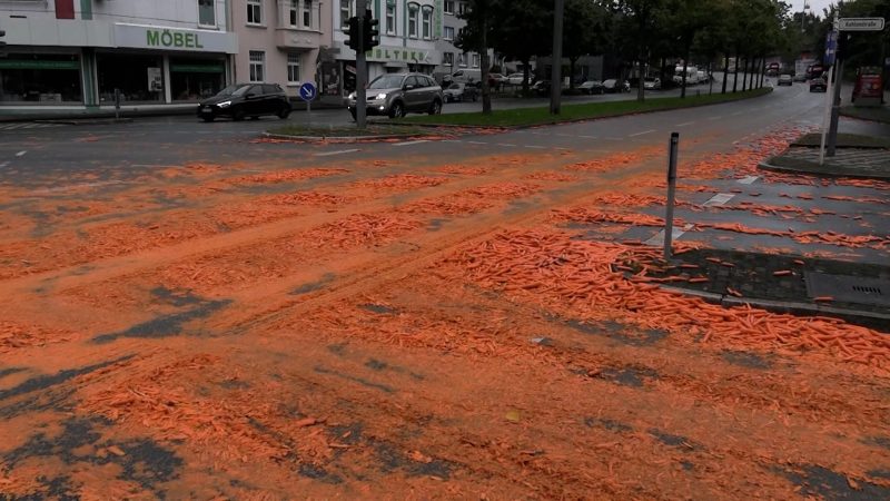 Kreuzung-Karotten-Chaos (Foto: SAT.1 NRW)