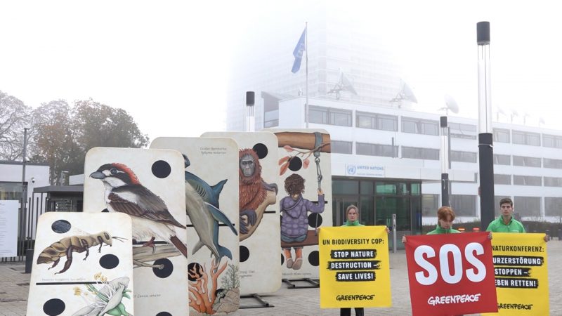 Demonstration für bedrohte Arten (Foto: SAT.1 NRW)