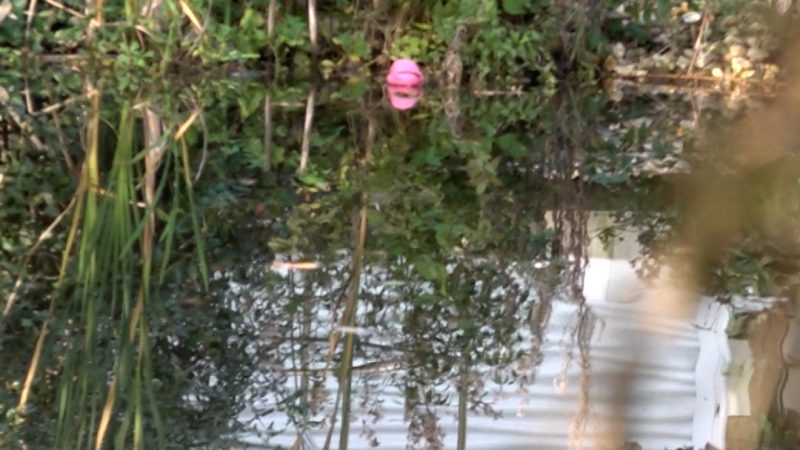 Geschwister beinahe ertrunken (Foto: SAT.1 NRW)