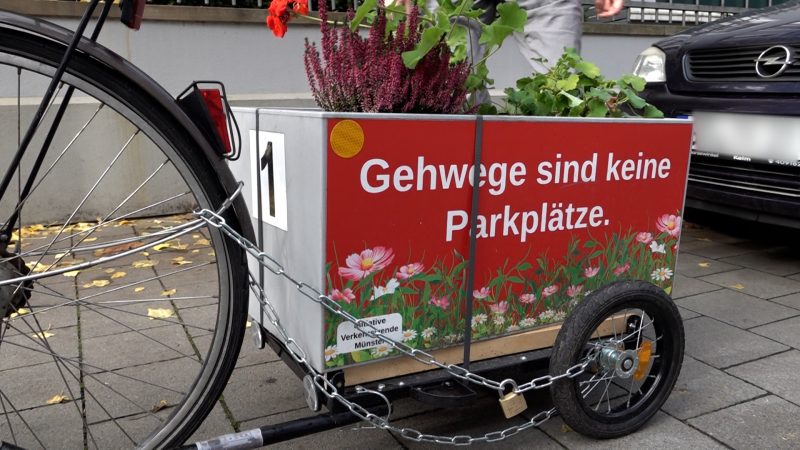 Blumenkübel gegen Falschparker (Foto: SAT.1 NRW)