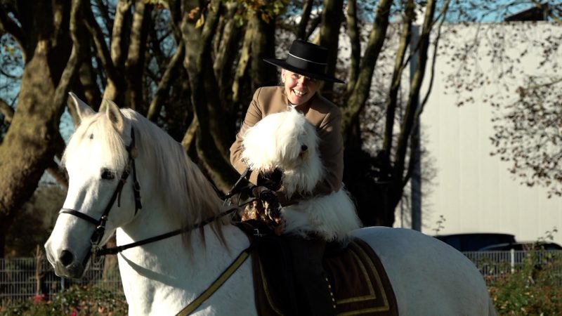 Messe "Hund und Pferd" (Foto: SAT.1 NRW)