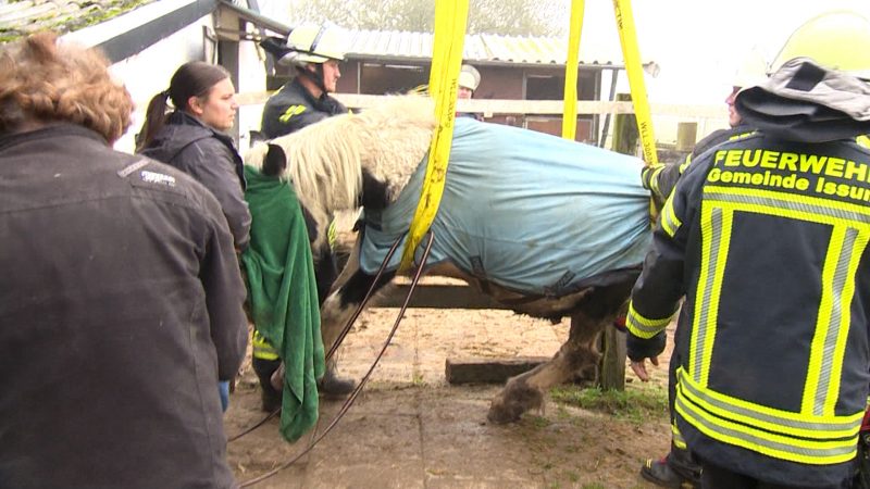 Ungewöhnliche Rettungsaktion (Foto: SAT.1 NRW)