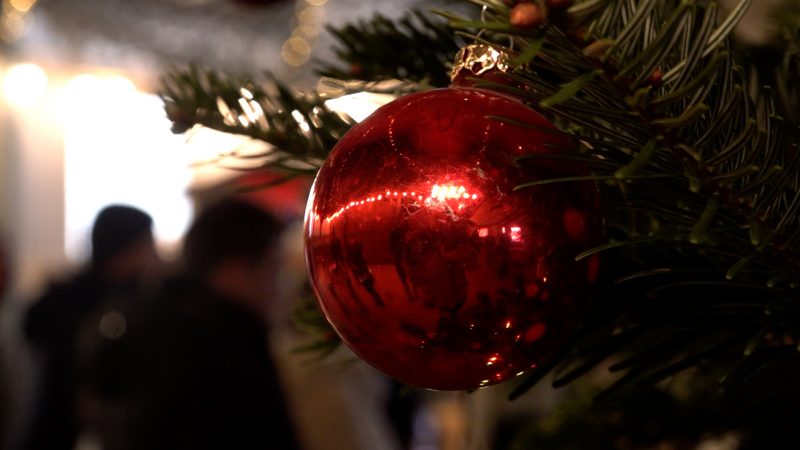 Weihnachtsbaum-Saison offiziell eröffnet (Foto: SAT.1 NRW)