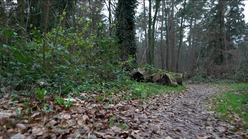 Bürgerentscheid zum Nationalpark (Foto: SAT.1 NRW)