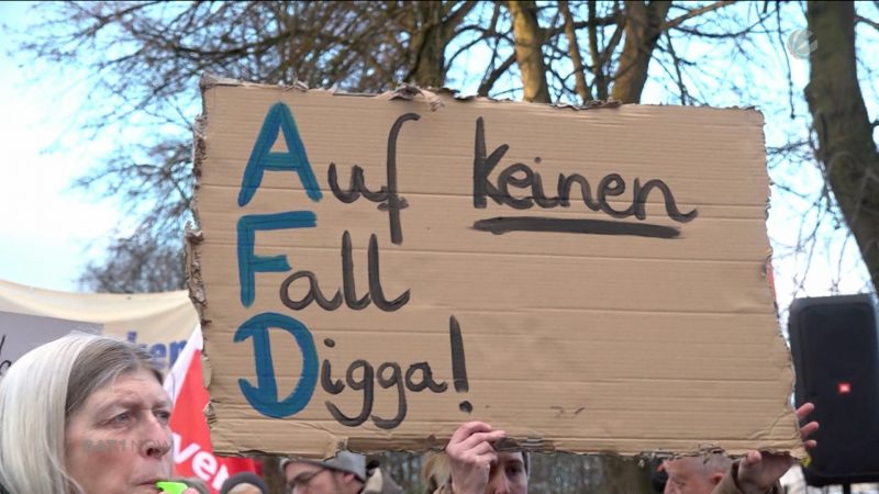 AFD auf der Suche nach Kandidat für Bundestagswahl (Foto: SAT.1 NRW)