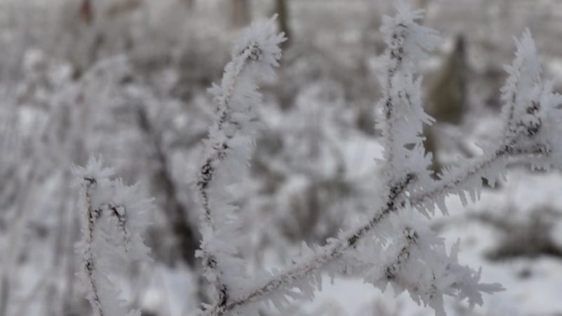 Winterwetter in NRW (Foto: SAT.1 NRW)