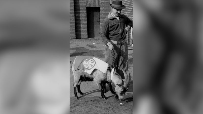 1. FC Köln ehrt Maskottchen Hennes I. in der Hall of Fame (Foto: SAT.1 NRW)