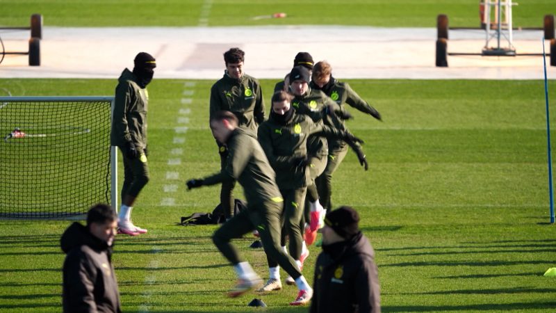 Borussia Dortmund steht im Viertelfinale der Champions League (Foto: SAT.1 NRW)