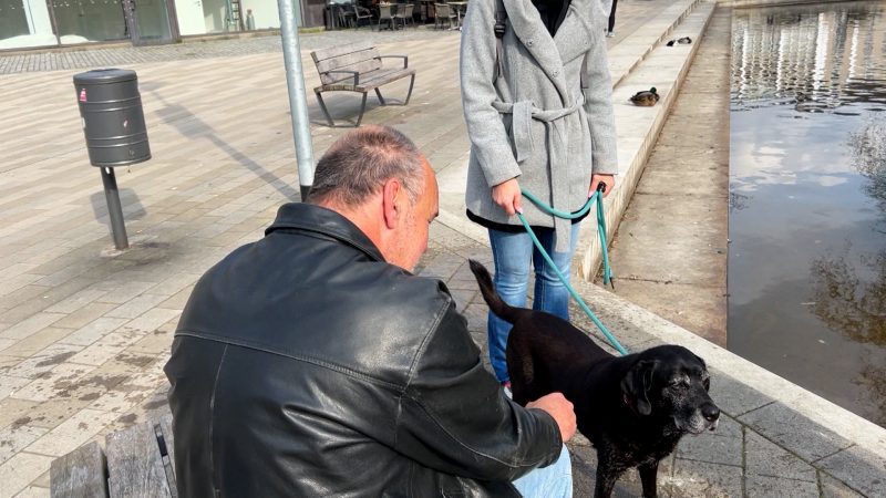 Hundesteuer ohne Hund (Foto: SAT.1 NRW)